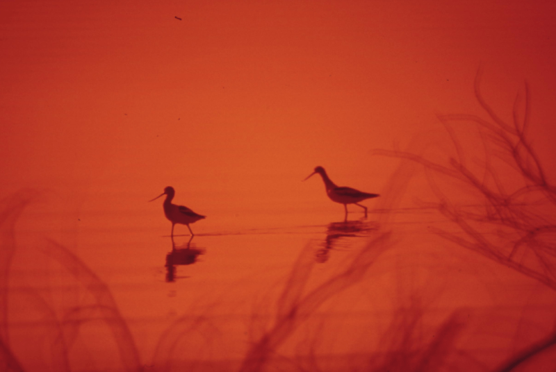 El arte de la conexión